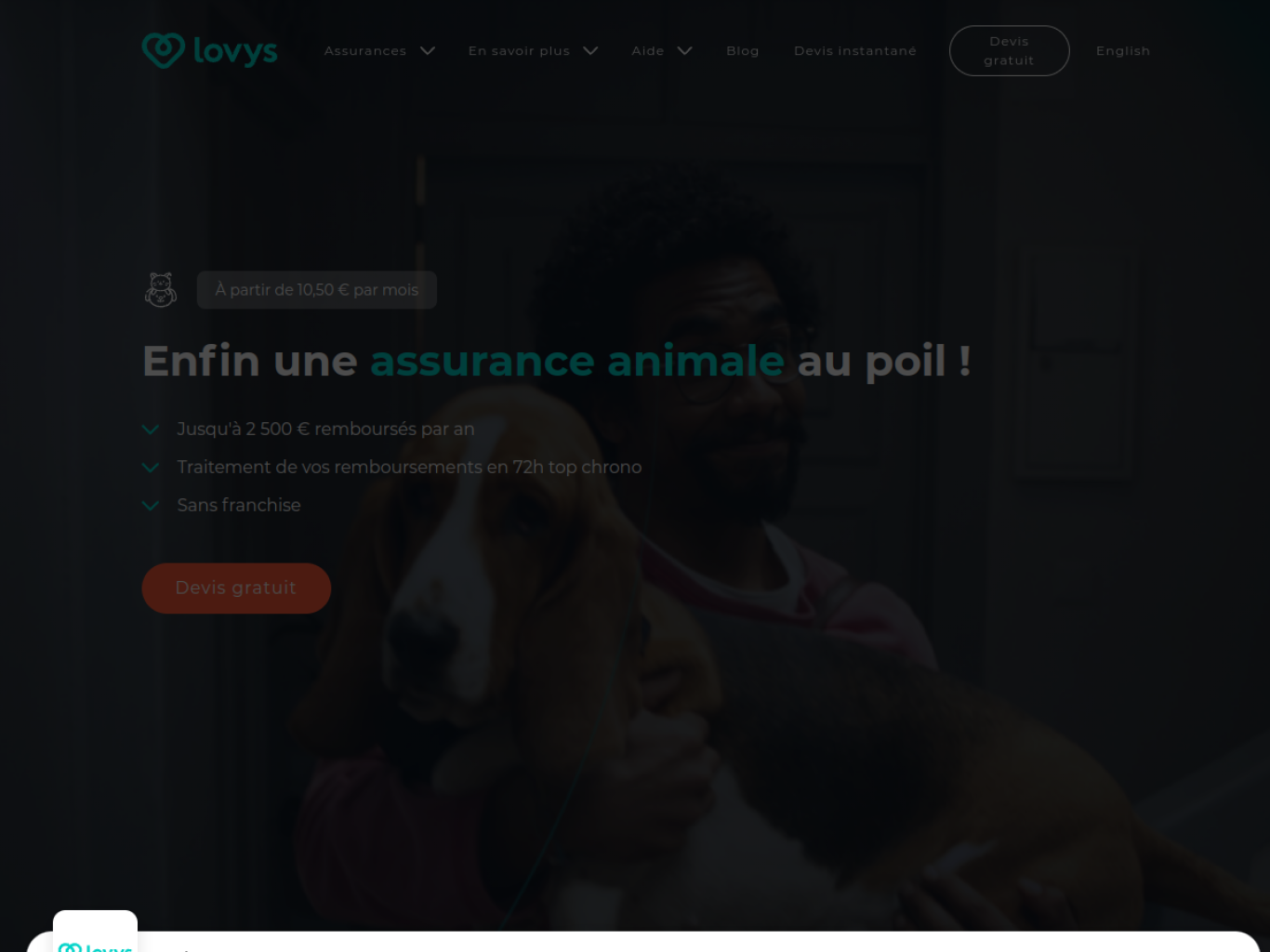 Capture d'écran du site Lovys